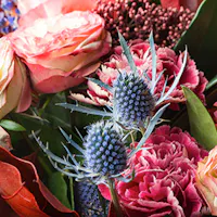 A vibrant bouquet contains numerous pink roses, pink carnations, and spiky blue thistles amidst lush green leaves, creating a rich, colorful floral arrangement.