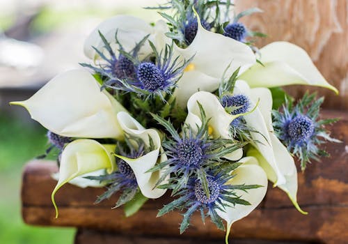 Nearly a dozen mixed blue thistle, wrapped up with a soft, larger white flower