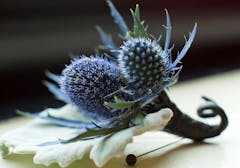 These thistles serve for dressy occasions, wrapped tight in a boutonniere