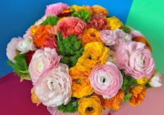 Golds, pinks, oranges and greens burst forth from a colorful floral arrangement