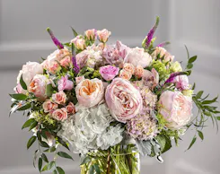 Pastel Collection