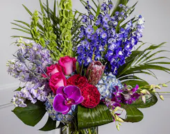 Jewel Tone Collection