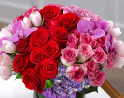 Valentine's | Luxury Collection