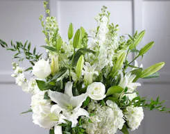 White Collection