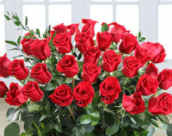 Valentine's | Award-Winning Roses