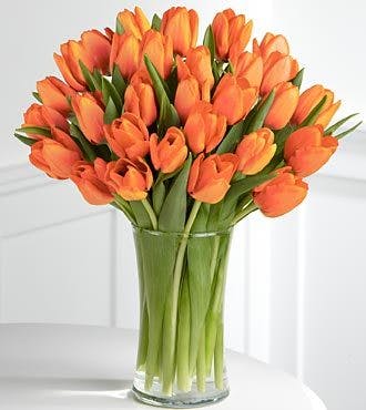 Tuscany Orange Tulips, Arrangements, Fresh Flowers, Carithers Florist