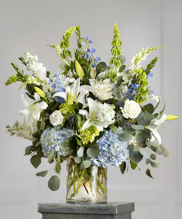 Blue & White Garden Showcase