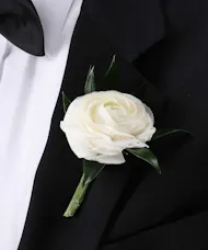 White Ranunculus Boutonniere