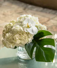 Mayfair Centerpiece