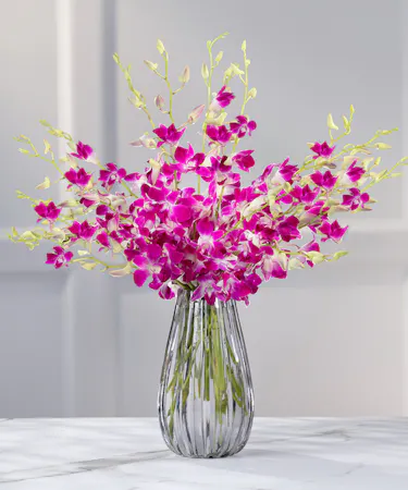 Exotic Tropical Dendrobium Orchids - 10 stems of purple orchid sprays