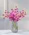 Exotic Tropical Dendrobium Orchids - 10 stems of purple orchid sprays