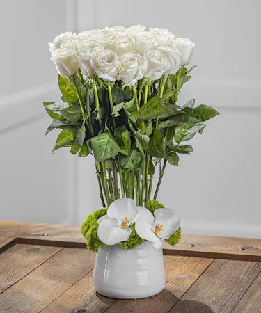 White Contemporary Rose Garden 