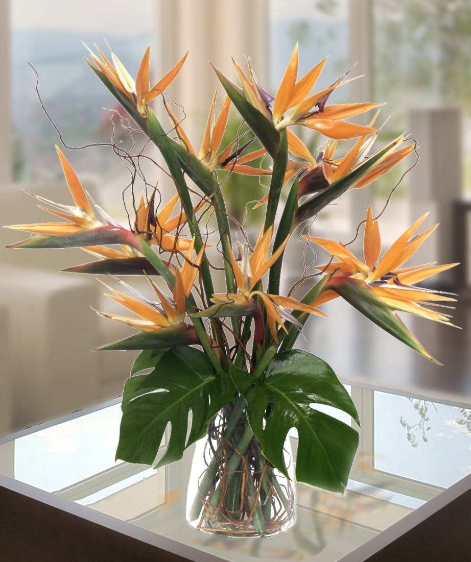 Birds of Paradise Tropical Flower Arrangement, Deliver Today Atlanta