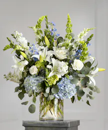 Blue & White Garden Showcase