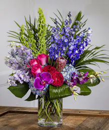 Dazzler - Tall & Dramatic Presentation