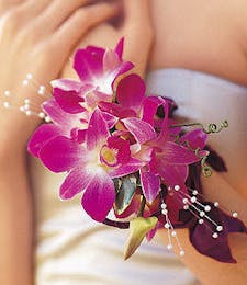 Purple Variegated Dendrobium Orchid Wrist Corsage