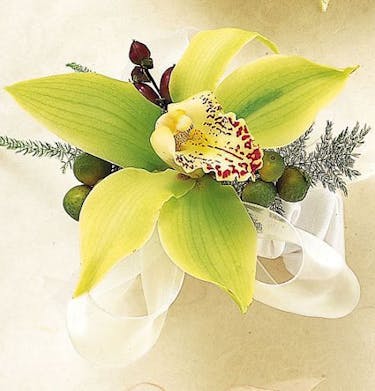 Fashion Green Orchid Wrist Corsage