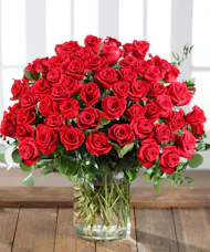 Award Winning Red Roses