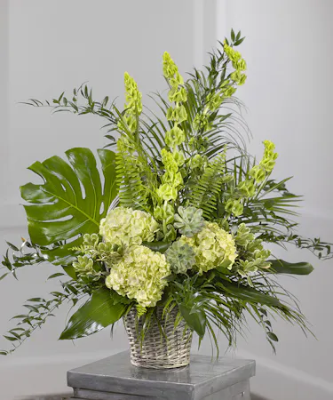 Garden Sympathy Basket featuring kiwi hydrangea, orchids, bells of Ireland and tropical foliage