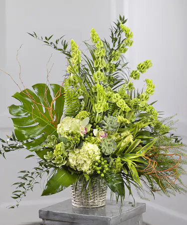 Garden Sympathy Basket featuring kiwi hydrangea, orchids, bells of Ireland and tropical foliage