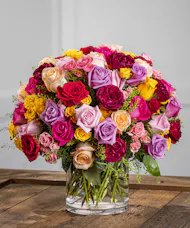 Festival of Roses - Over 100 Vibrant Rose Blooms
