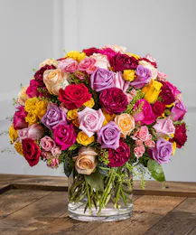 Festival of Roses - Over 100 Vibrant Rose Blooms