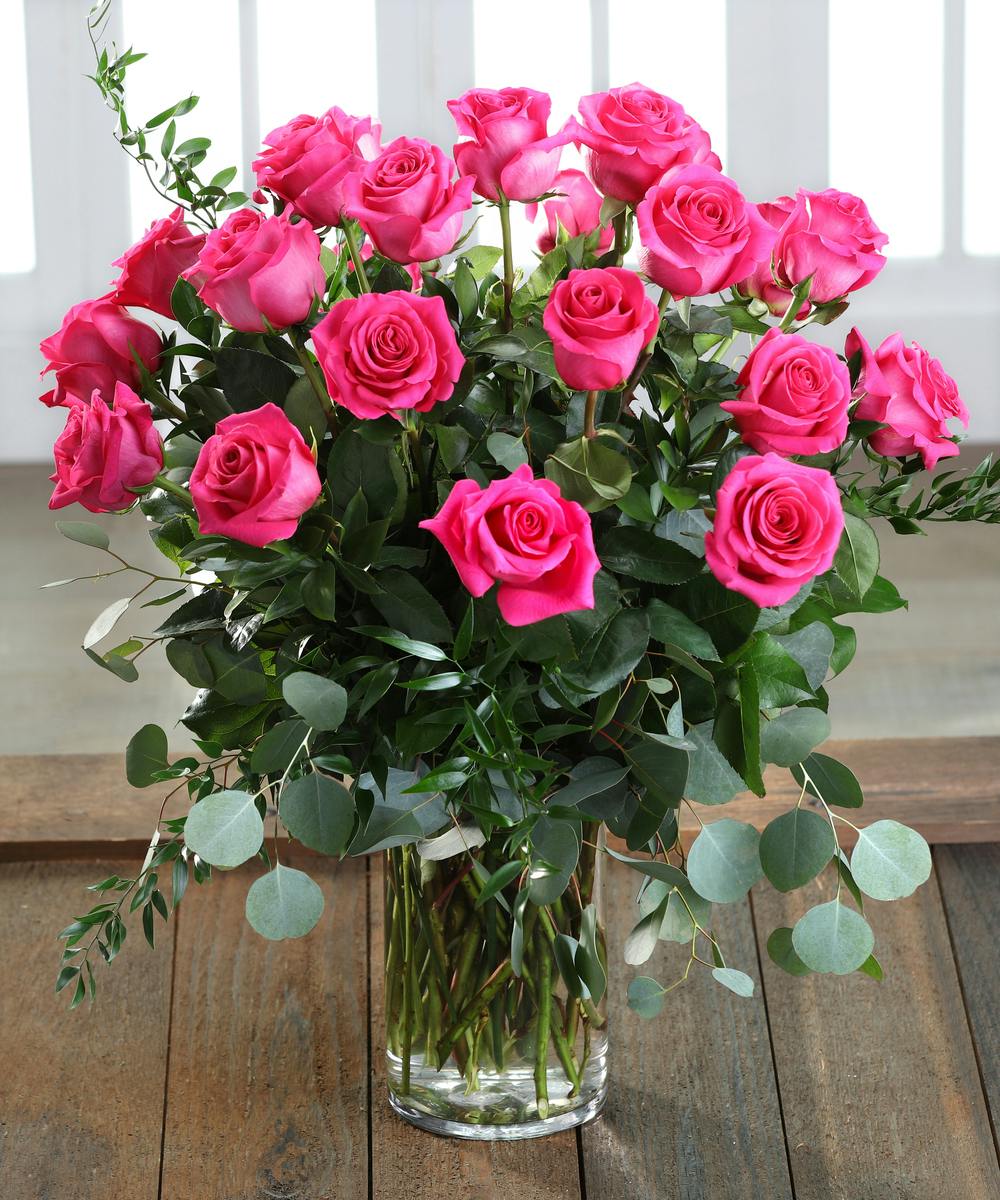 Two Dozen Hot Pink Candy Roses by Carithers Flowers Voted Best Roses