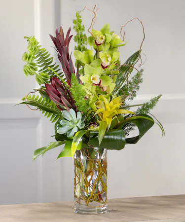 The Maui features green cymbidium orchids, bromeliad, Hawaiian ti foliage, succulents, and willow