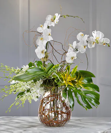Luxurious moonlit phalaenopsis orchids and Thai dendrobiums amid lush tropical foliage and willow