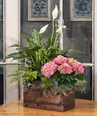 Pink Hydrangea & Peace Lily Planter