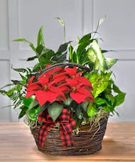 Holiday European Garden Basket with Poinsettia