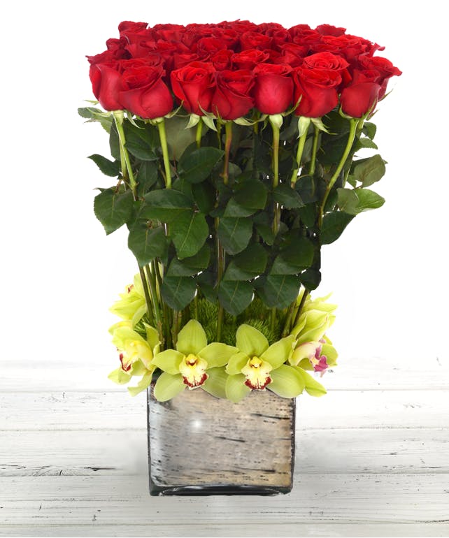 Valentines Roses Atlanta, Valentine Roses Atlanta, Valentines Roses