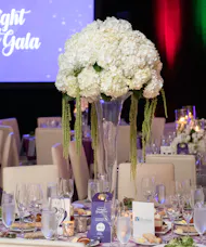 Trumpet of White Hydrangea