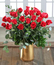 Award-Winning Red Roses - Exclusive