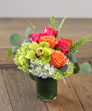 Vibrant Delight