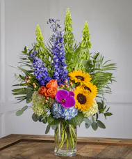 Vibrant Treasure