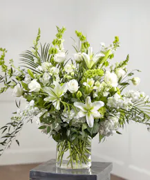 White Garden Showcase