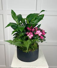Small Blooming Garden - Black Decor Container