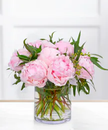 Pink Sugar Peonies